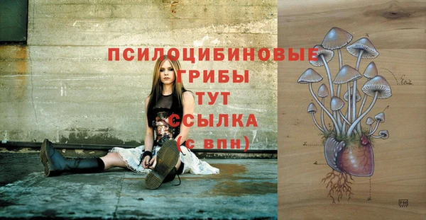 СК Наволоки